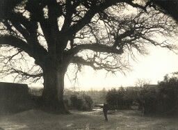 /medias/customer_2/NUMERISATION_2025/45 Fi Collection Pierre Allier/45_Fi_124_jpg_/0_0.jpg